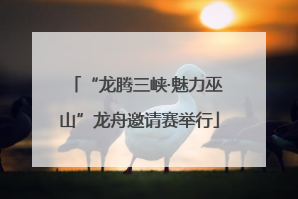 “龙腾三峡·魅力巫山”龙舟邀请赛举行