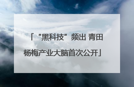 “黑科技”频出 青田杨梅产业大脑首次公开
