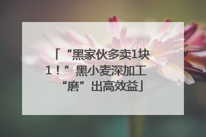 “黑家伙多卖1块1！”黑小麦深加工“磨”出高效益