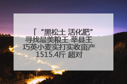 “黑松土 活化肥”寻找最美粮王 莘县王巧英小麦实打实收亩产1515.4斤 超对照田144斤！