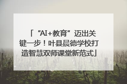 “AI+教育”迈出关键一步！叶县晨德学校打造智慧双师课堂新范式