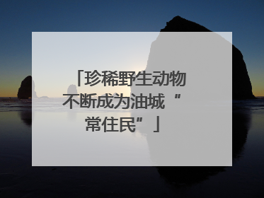 珍稀野生动物不断成为油城“常住民”