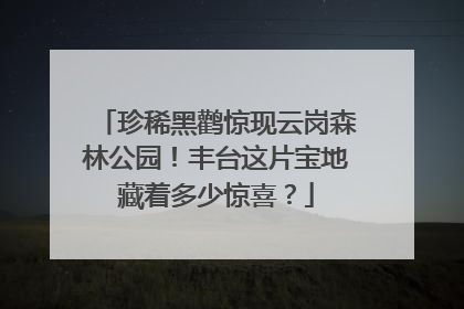 珍稀黑鹳惊现云岗森林公园！丰台这片宝地藏着多少惊喜？