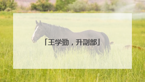 王学勤，升副部