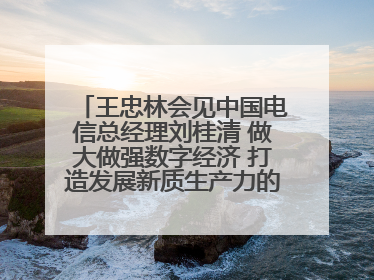 王忠林会见中国电信总经理刘桂清 做大做强数字经济 打造发展新质生产力的强劲引擎