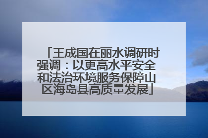 王成国在丽水调研时强调：以更高水平安全和法治环境服务保障山区海岛县高质量发展