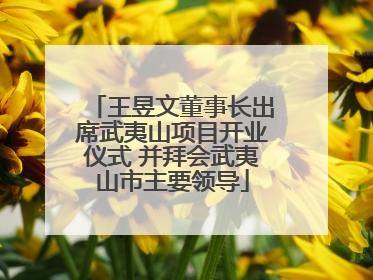 王昱文董事长出席武夷山项目开业仪式 并拜会武夷山市主要领导