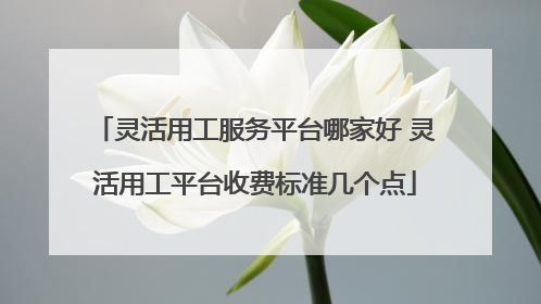 灵活用工服务平台哪家好 灵活用工平台收费标准几个点