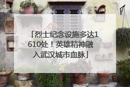 烈士纪念设施多达1610处！英雄精神融入武汉城市血脉