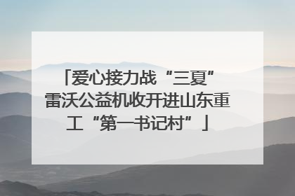 爱心接力战“三夏” 雷沃公益机收开进山东重工“第一书记村”