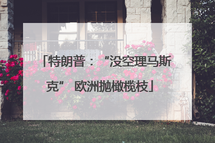 特朗普：“没空理马斯克” 欧洲抛橄榄枝
