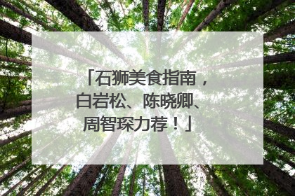 石狮美食指南，白岩松、陈晓卿、周智琛力荐！