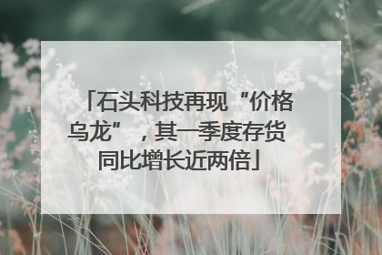 石头科技再现“价格乌龙”，其一季度存货同比增长近两倍