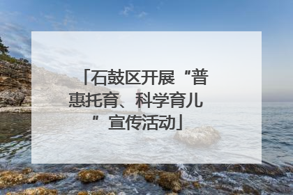 石鼓区开展“普惠托育、科学育儿”宣传活动
