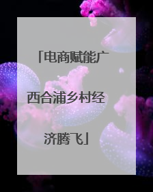 电商赋能广西合浦乡村经济腾飞