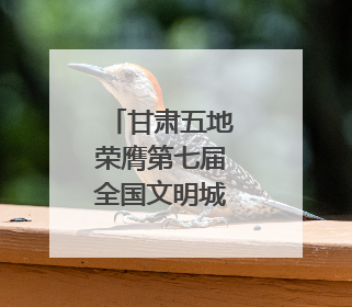 甘肃五地荣膺第七届全国文明城市称号