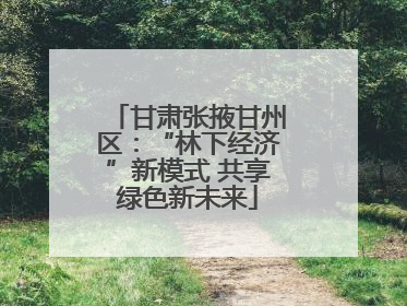 甘肃张掖甘州区：“林下经济”新模式 共享绿色新未来
