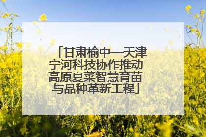 甘肃榆中—天津宁河科技协作推动高原夏菜智慧育苗与品种革新工程