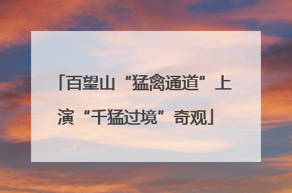 百望山“猛禽通道”上演“千猛过境”奇观