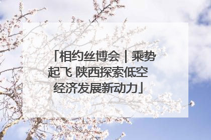 相约丝博会｜乘势起飞 陕西探索低空经济发展新动力