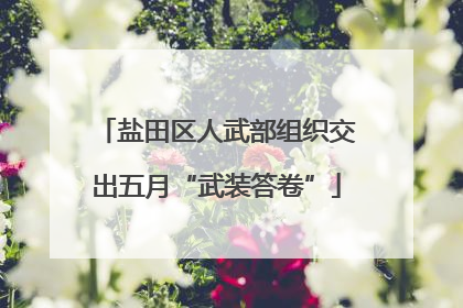 盐田区人武部组织交出五月“武装答卷”