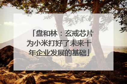 盘和林：玄戒芯片为小米打好了未来十年企业发展的基础