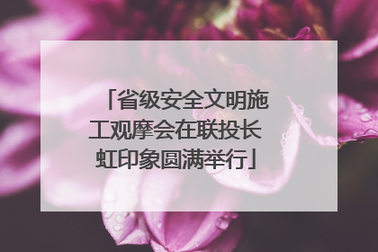 省级安全文明施工观摩会在联投长虹印象圆满举行