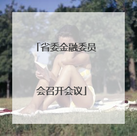 省委金融委员会召开会议