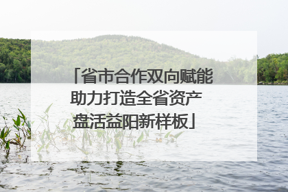 省市合作双向赋能 助力打造全省资产盘活益阳新样板