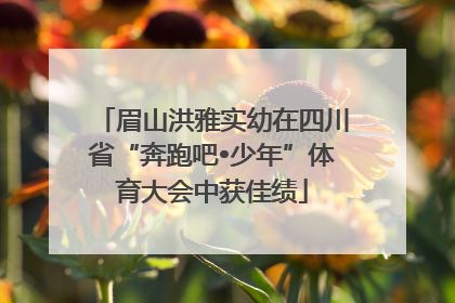 眉山洪雅实幼在四川省“奔跑吧•少年”体育大会中获佳绩