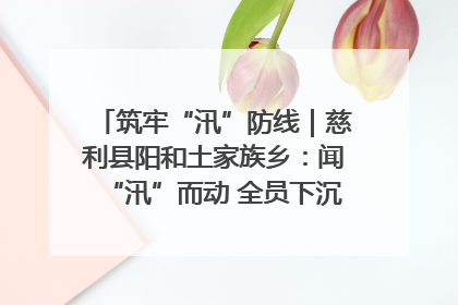 筑牢“汛”防线｜慈利县阳和土家族乡：闻“汛”而动 全员下沉筑牢防汛“安全堤”