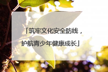 筑牢文化安全防线，护航青少年健康成长