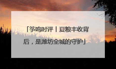 筝鸣时评丨夏粮丰收背后，是潍坊全城的守护