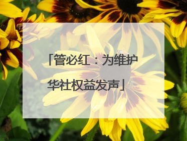 管必红：为维护华社权益发声