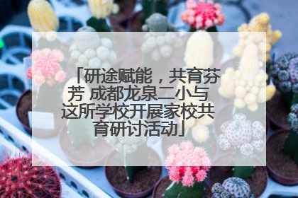 研途赋能，共育芬芳 成都龙泉二小与这所学校开展家校共育研讨活动