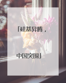 硅基昇腾，中国突围