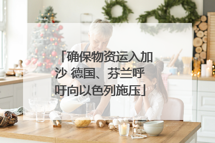 确保物资运入加沙 德国、芬兰呼吁向以色列施压