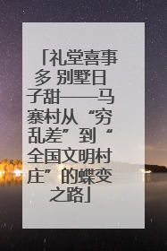 礼堂喜事多 别墅日子甜——马寨村从“穷乱差”到“全国文明村庄”的蝶变之路