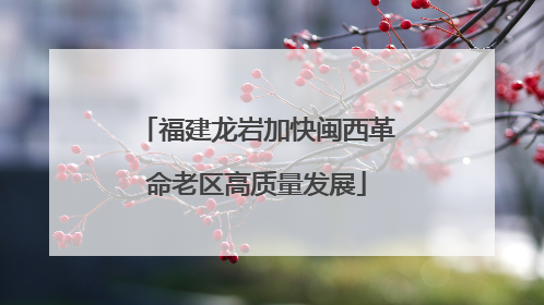 福建龙岩加快闽西革命老区高质量发展