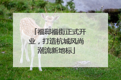 福邸福街正式开业，打造杭城风尚潮流新地标