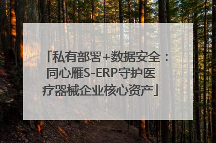 私有部署+数据安全：同心雁S-ERP守护医疗器械企业核心资产