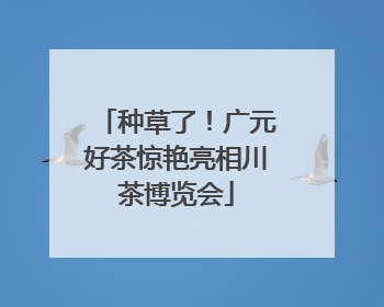 种草了！广元好茶惊艳亮相川茶博览会