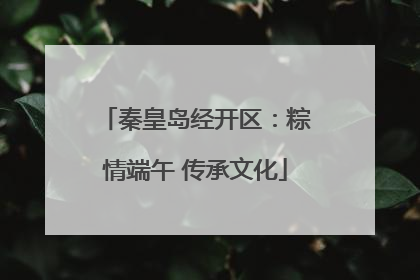 秦皇岛经开区：粽情端午 传承文化
