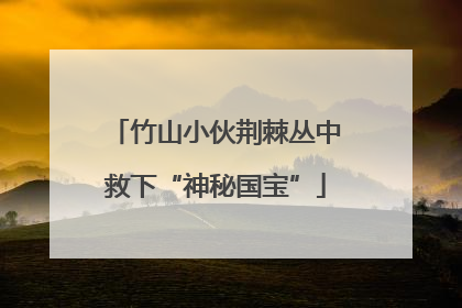 竹山小伙荆棘丛中救下“神秘国宝”