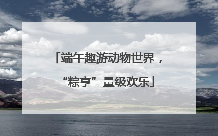 端午趣游动物世界，“粽享”量级欢乐