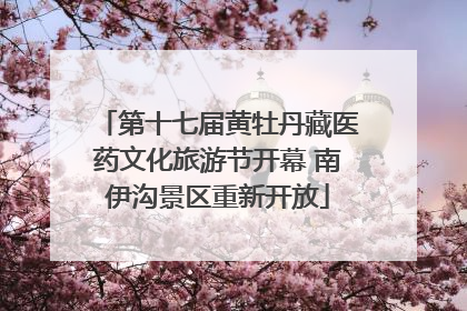 第十七届黄牡丹藏医药文化旅游节开幕 南伊沟景区重新开放