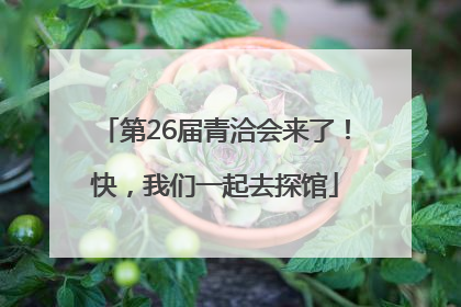 第26届青洽会来了！快，我们一起去探馆