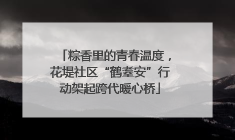 粽香里的青春温度，花堤社区“鹤耋安”行动架起跨代暖心桥