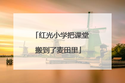 红光小学把课堂搬到了麦田里