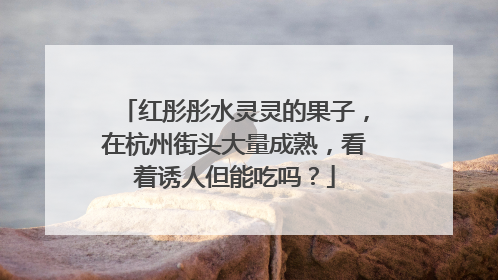 红彤彤水灵灵的果子，在杭州街头大量成熟，看着诱人但能吃吗？